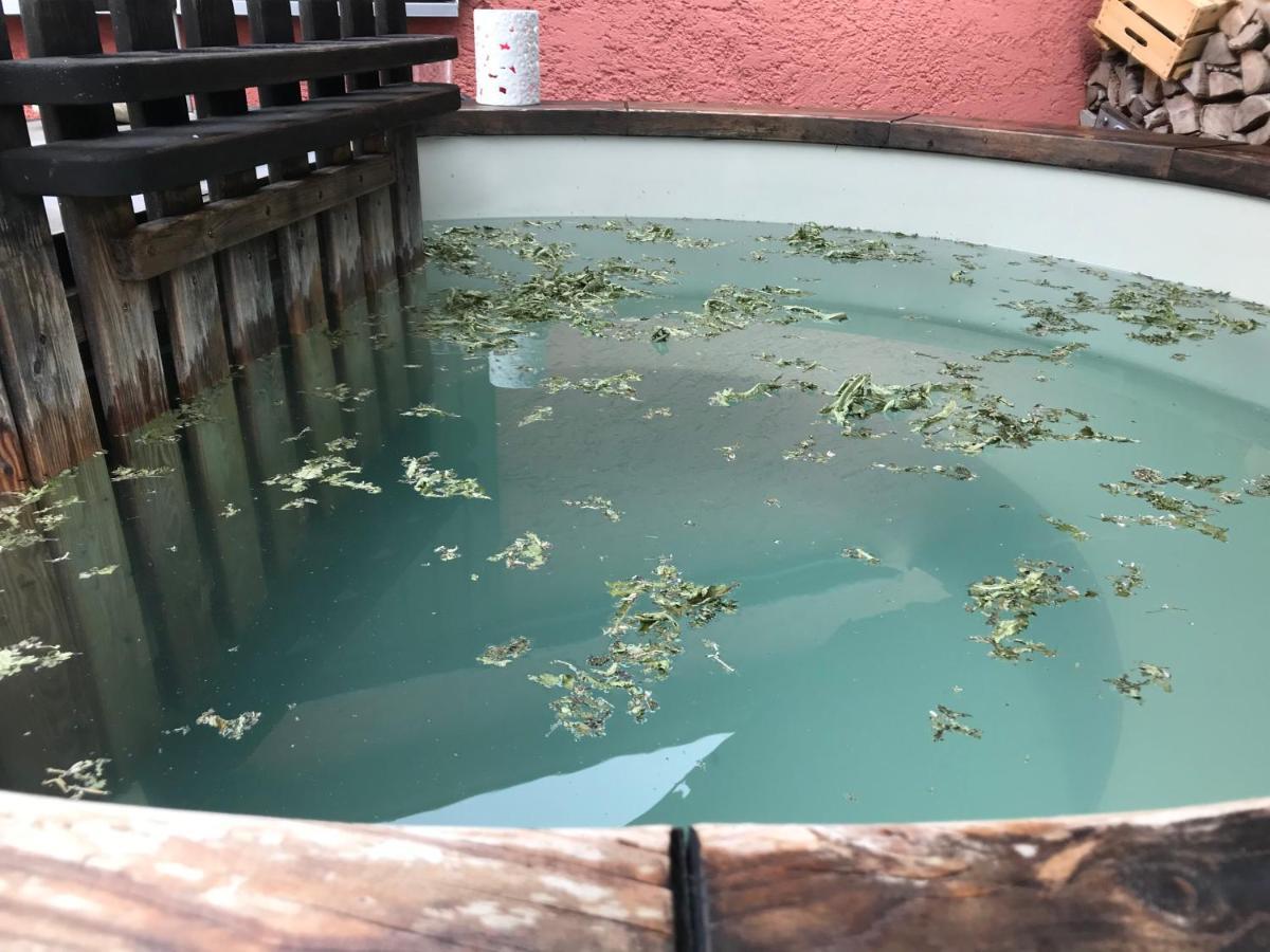 Apartamento Donautaler Wohlfühloase Gundelfingen an der Donau Exterior foto